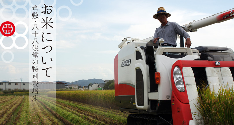 特別栽培米(レンゲ米)の収穫